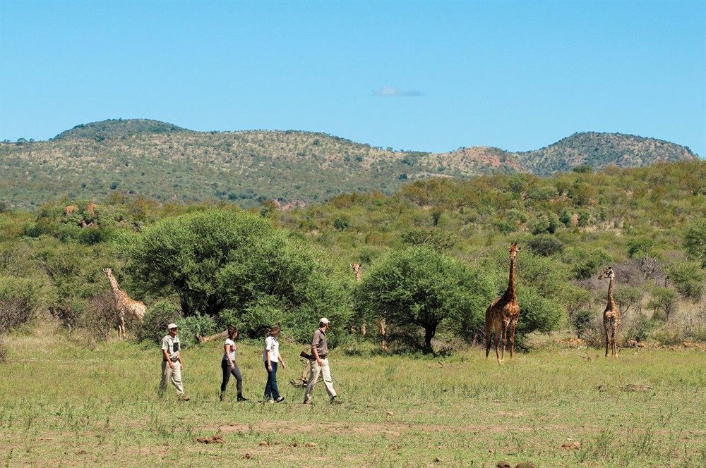 Madikwe Safari Lodge Melorane Bagian luar foto