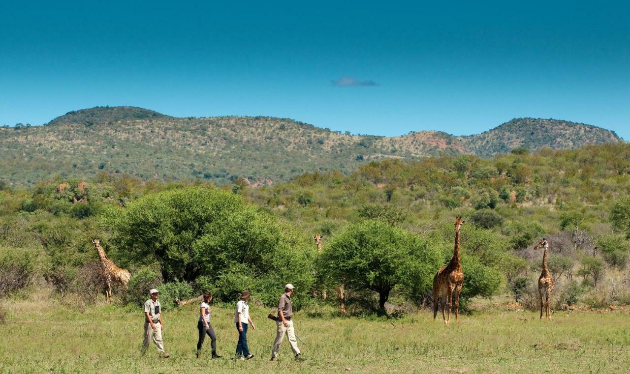 Madikwe Safari Lodge Melorane Bagian luar foto