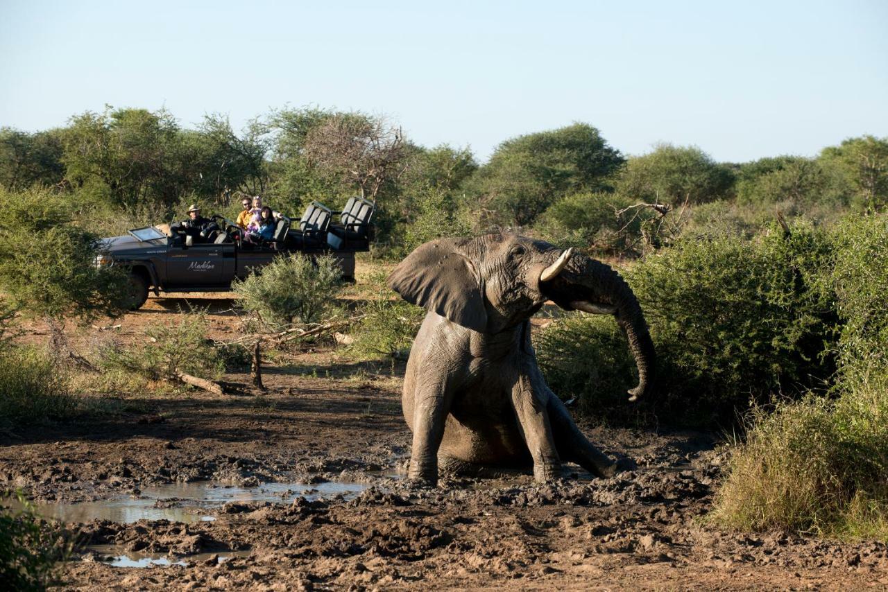 Madikwe Safari Lodge Melorane Bagian luar foto